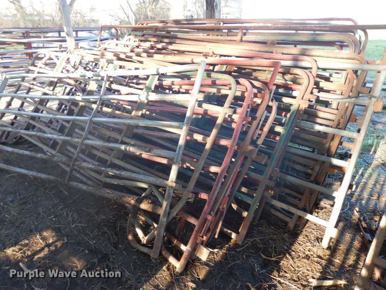 Approximately 24 livestock panels - IP9153