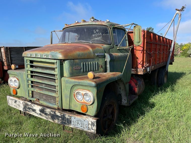 1964 Dodge 800  grain truck - DN5173