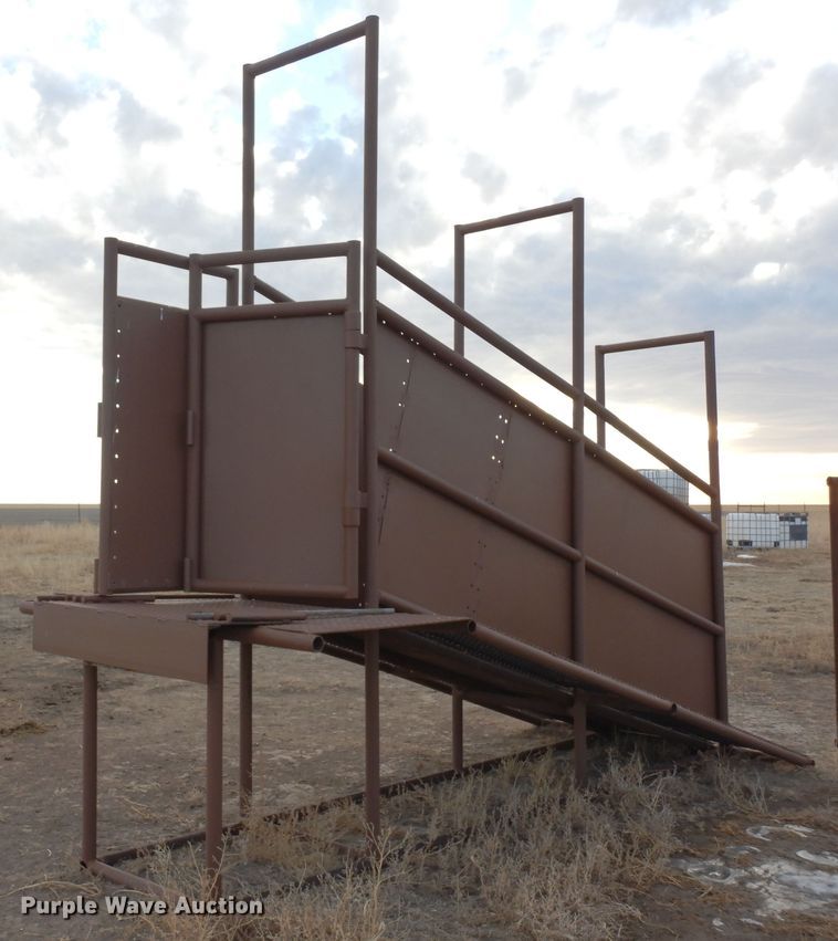 Shop built  livestock loading chute - DN6286