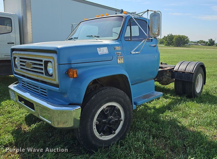 1978 Chevrolet Custom Deluxe 65  truck cab and chassis - DN8616
