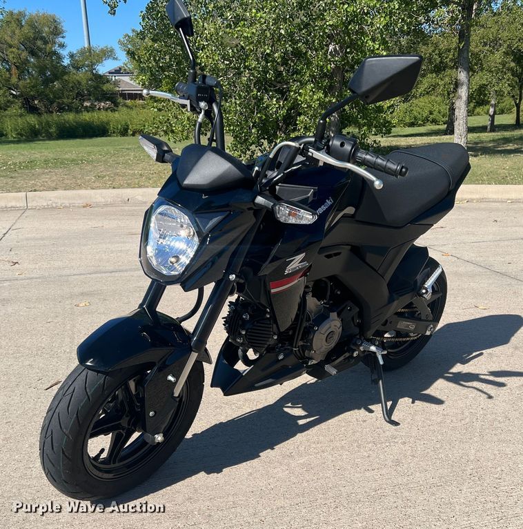 2019 Kawasaki Z125  motorcycle - DS2460
