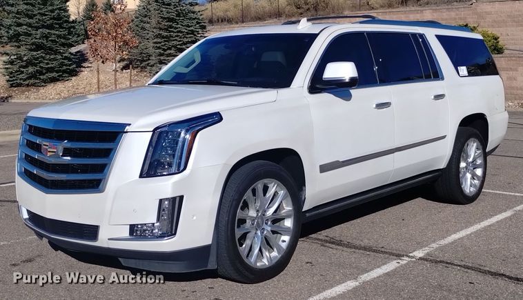 2018 Cadillac Escalade ESV Premium  SUV - DK8912