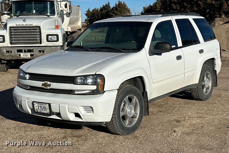 2008 Chevrolet TrailBlazer LS  SUV - NS9101