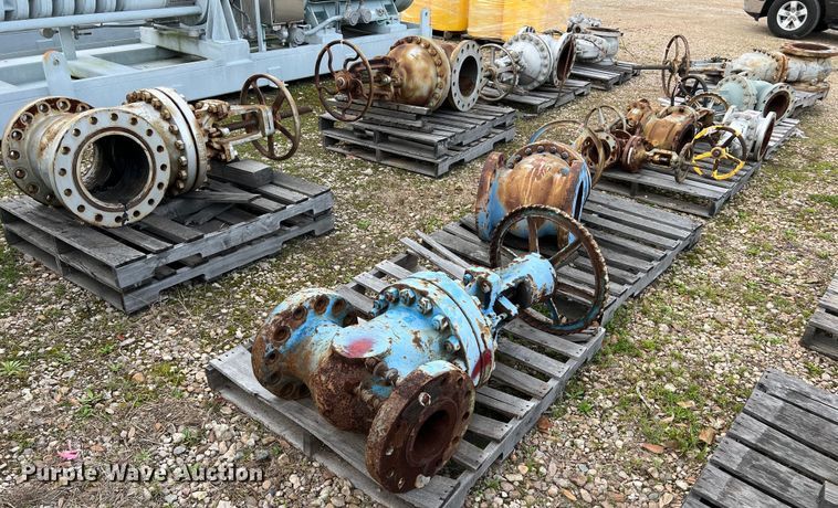 (12) Gate valves - KV9857