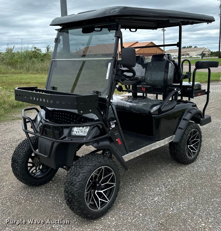 2024 Dynamic Carts golf cart - NQ9565