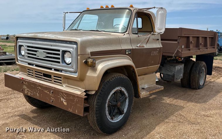 1980 Chevrolet 60 dump truck - DS6775