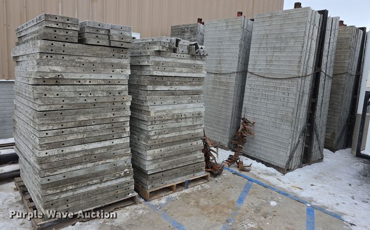 Precise Forms 8-8 concrete wall forms - DW3053