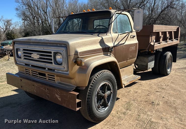 1980 Chevrolet C60 dump truck - ER8934