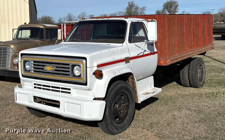 1974 Chevrolet C60 grain truck - EG6172