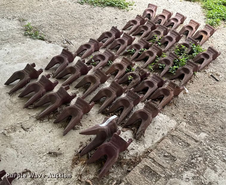 (35) bucket teeth - EJ3683