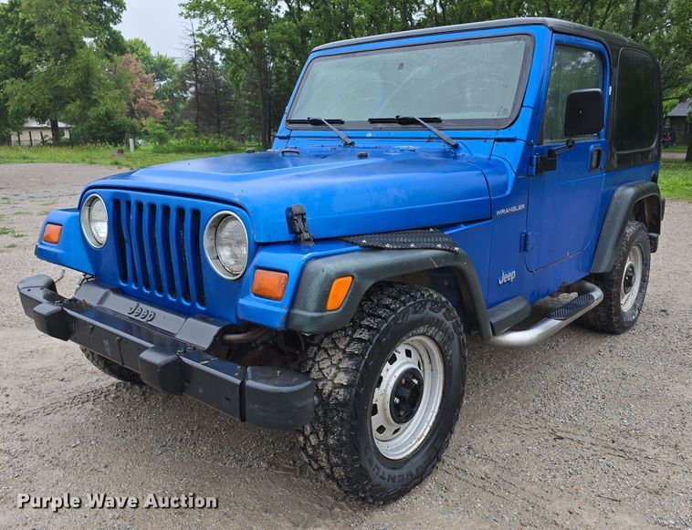 1999 Jeep Wrangler SUV - EO1019