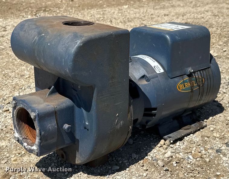 Pentair Berkeley LTM-5 irrigation booster pump - DY0139