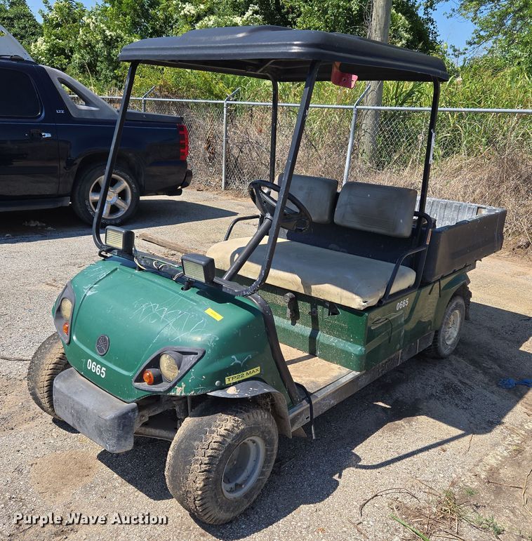 Yamaha U-Max golf cart - EG8211