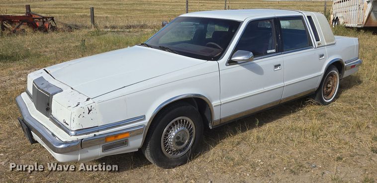 1991 Chrysler New Yorker  - DY1182