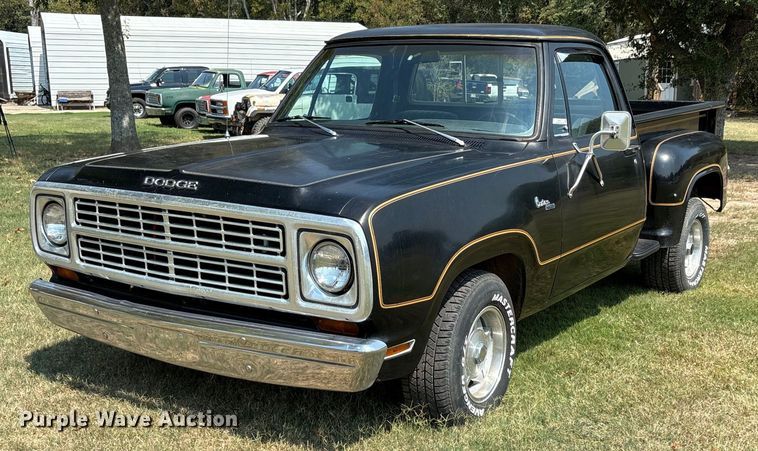 1979 Dodge D100 pickup truck - EU0113