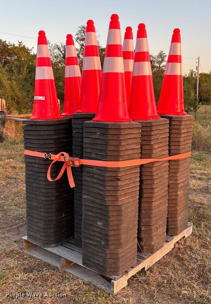 (250) traffic cones - EV3137