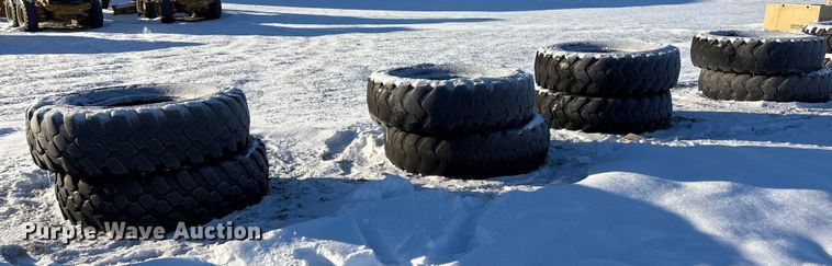 (8) 14R24 tires - DK0180