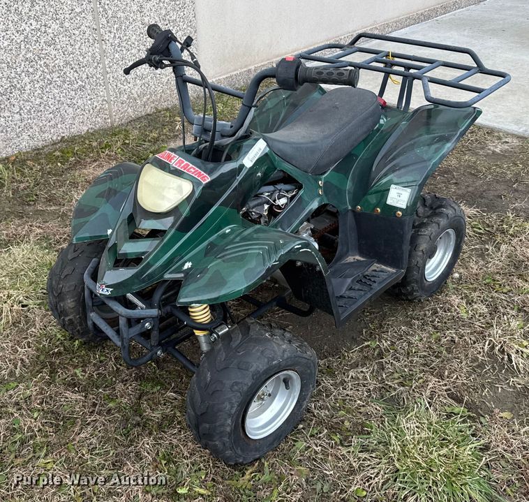 2008 TaoTao Quantum 150 ATV - EU6475