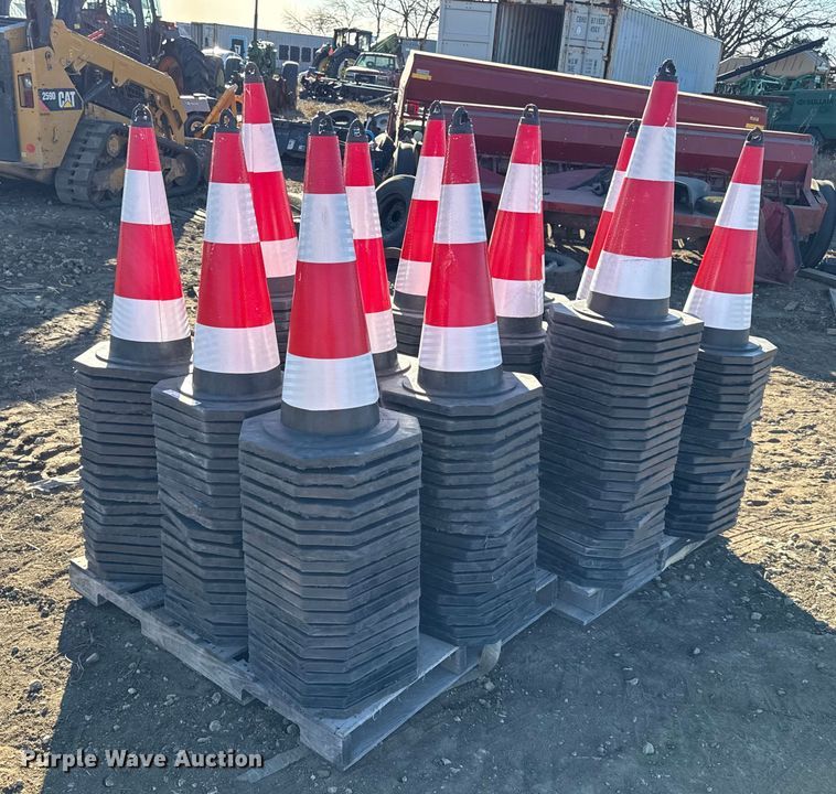 (250) traffic cones - EN0248