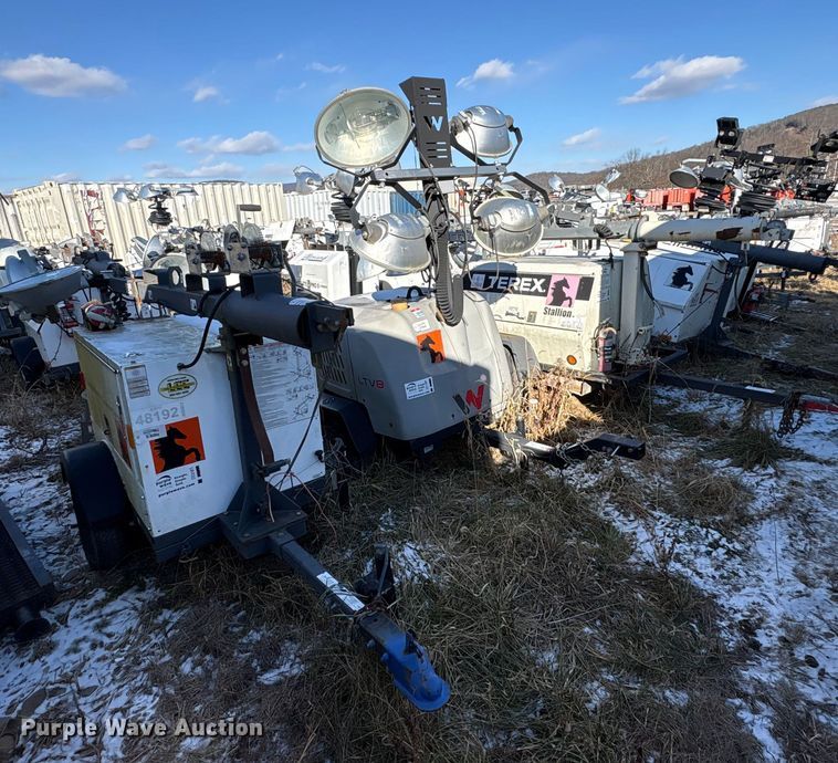 (4) light plants - DT2789