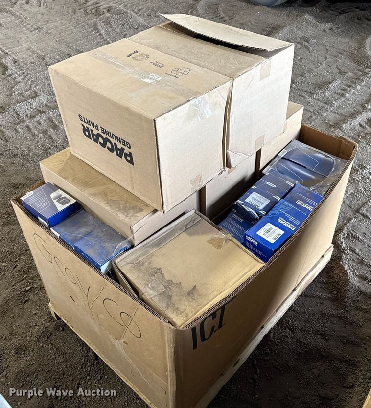 Assorted Paccar filters - EP2863