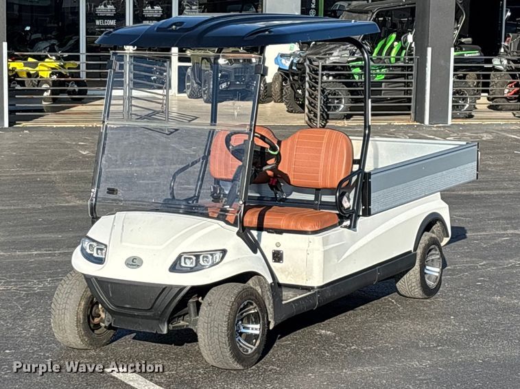 Cruise Car LT-A617.H8 golf cart - EN5989