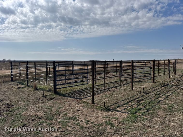 Cattle panels - FB6978