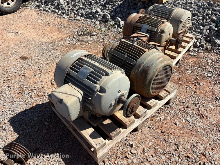 (2) Pacemaker electric motors - EU0446