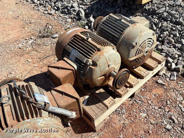 (2) Pacemaker electric motors - EU0447