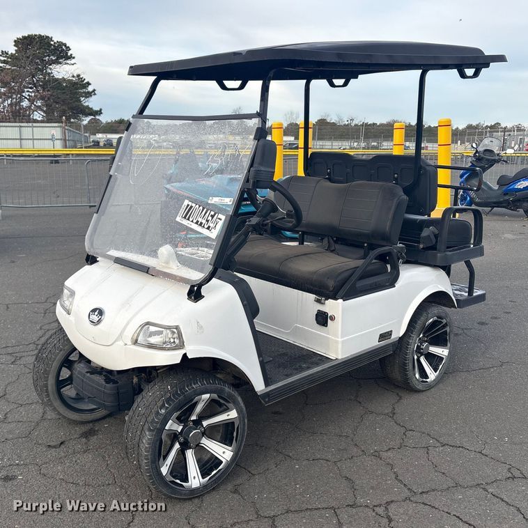 Evolution Lithium LifePO4 golf cart - YA1649