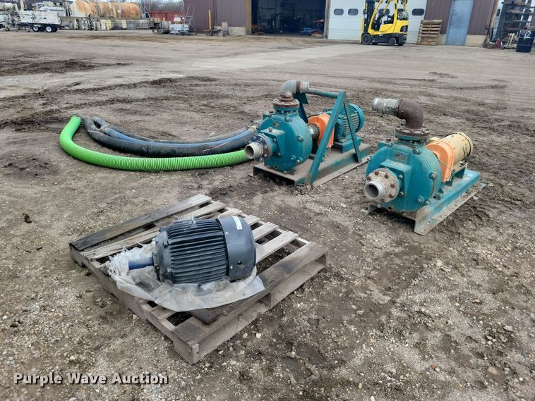 Crown (2) Baldor pumps  - DZ7017