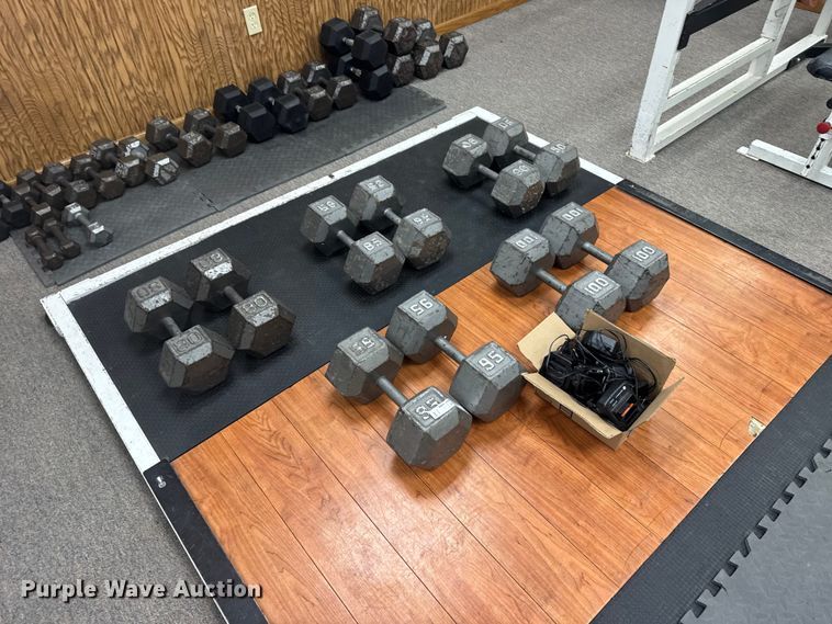 (10) dumbbells - FB7187
