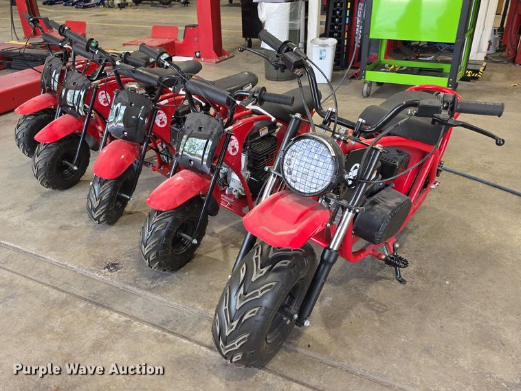 (5) Zhejiang Taotao mini bikes - EV2095