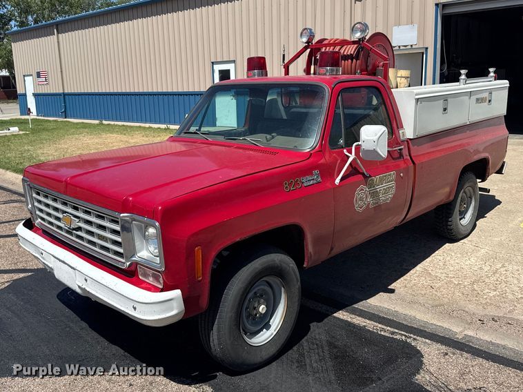 1975 Chevrolet Custom deluxe 20 pickup truck - FB7272