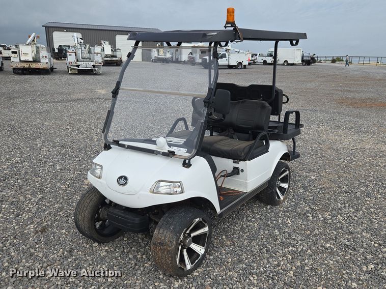 Evolution golf cart - ET5081