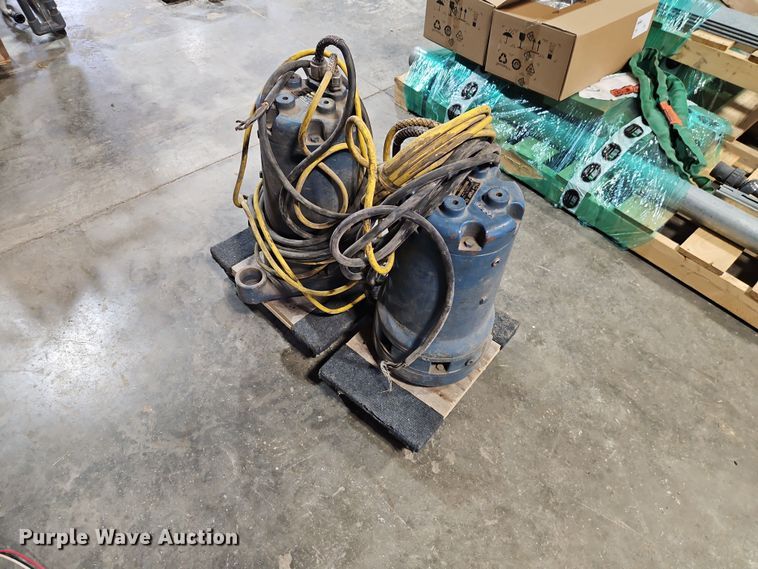 (2) Weil Pump 7202K3999 sump pumps - EO7373