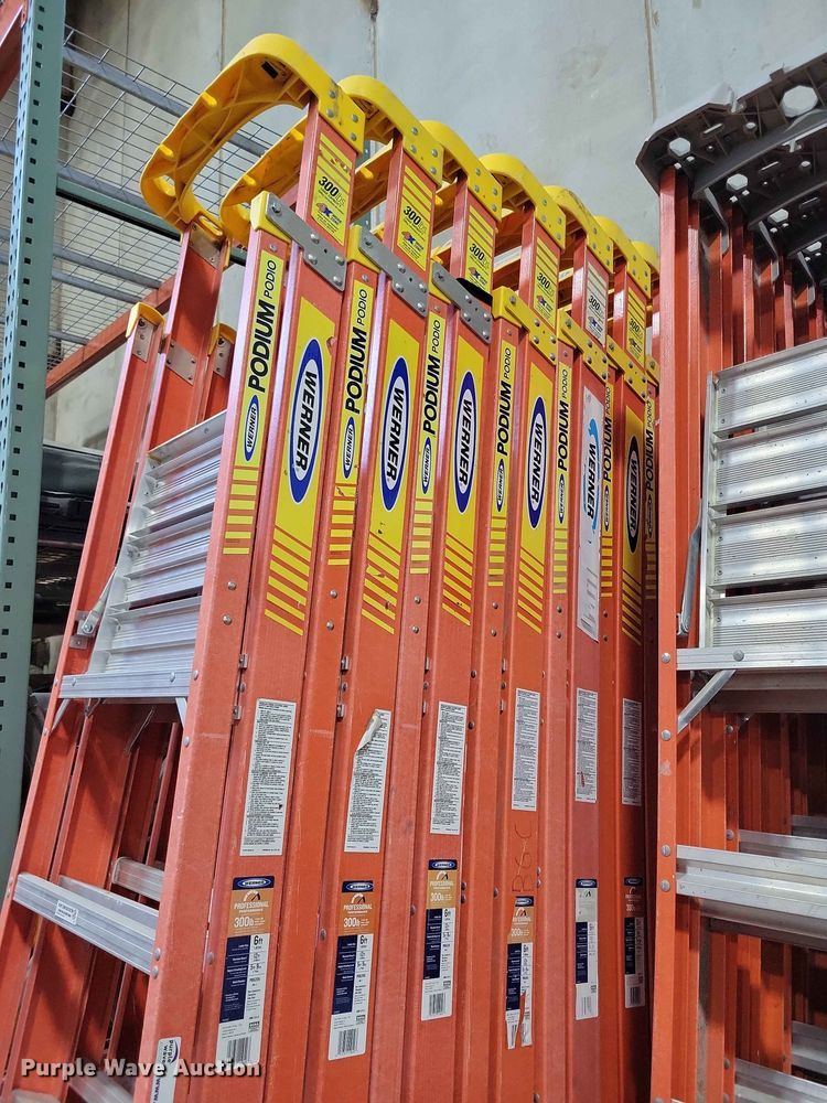 (9) Werner ladders - DZ7237