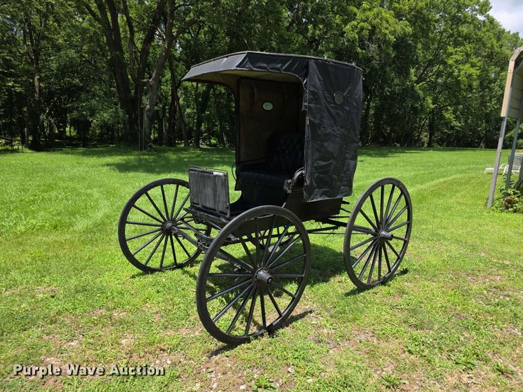 Moline horse buggy - EV2270