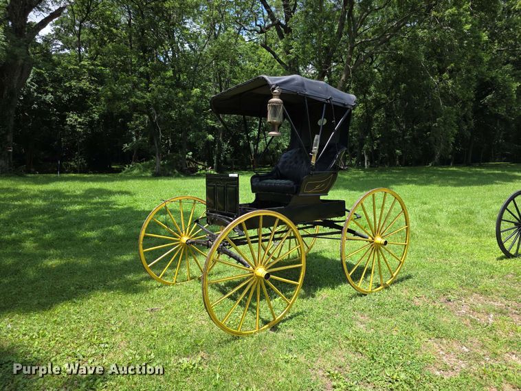 Sears Roebuck horse buggy - EV2271