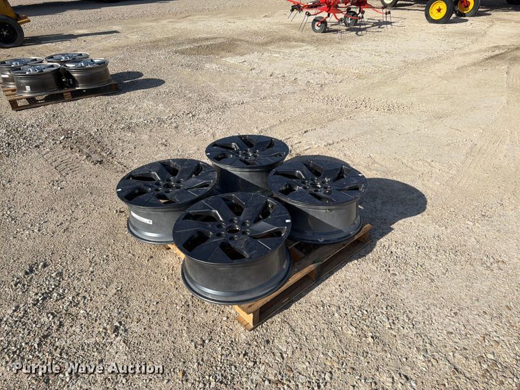 Set of 4 Rims - EX5513