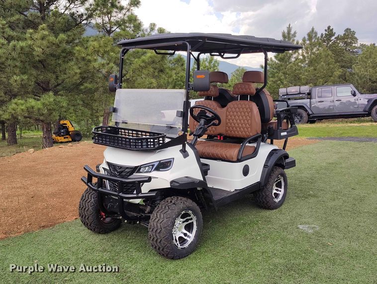 SDLANCH SDLGC80 golf cart - EW1032