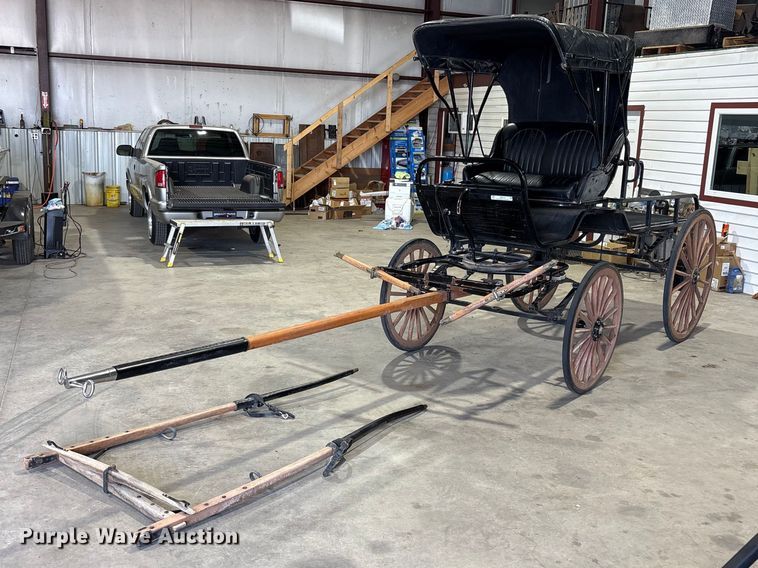 Horse drawn carriage - JM9416