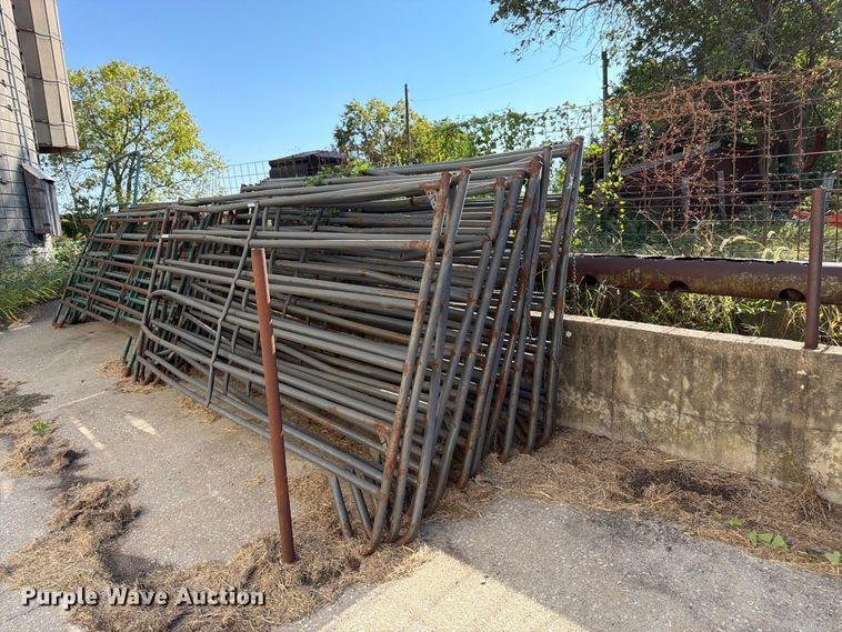 Approximately 13 livestock panels - EW5015