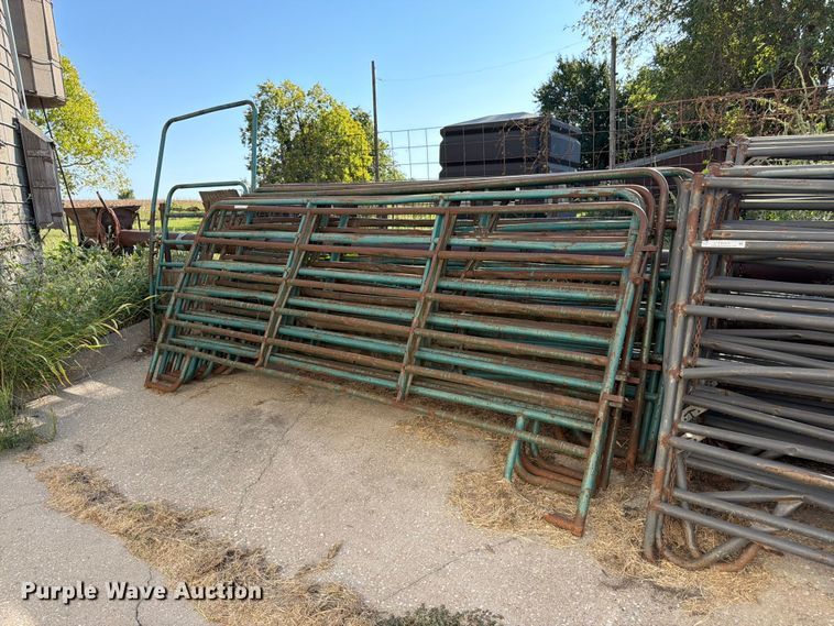 Approximately 8 livestock panels - EW5016