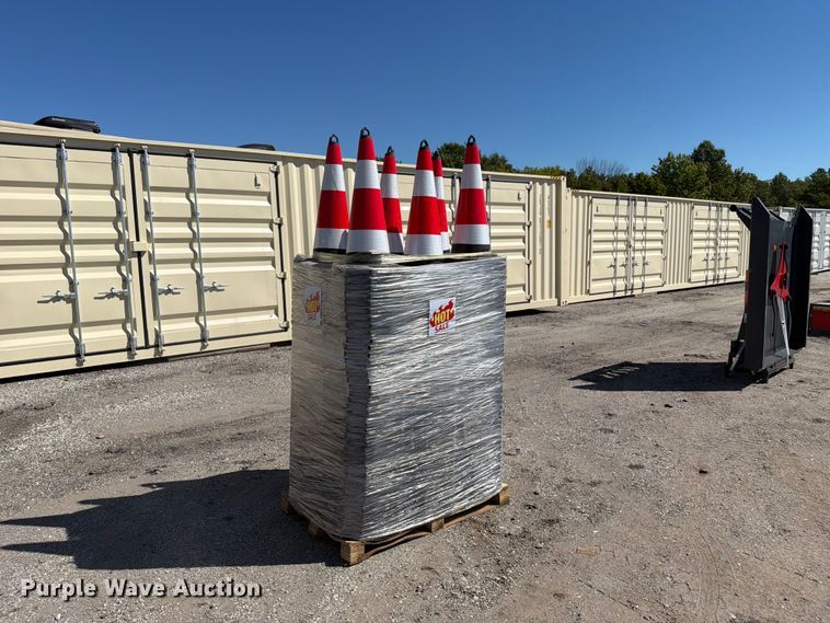 Approximately 250 cones - EX4196