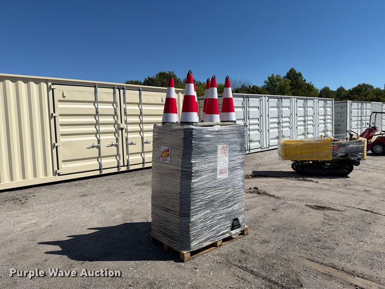 Approximately 250 cones - EX4198