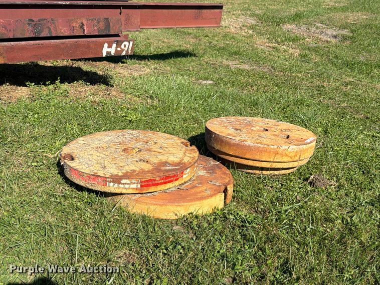 Tiger (3) wheel weights - EX1097